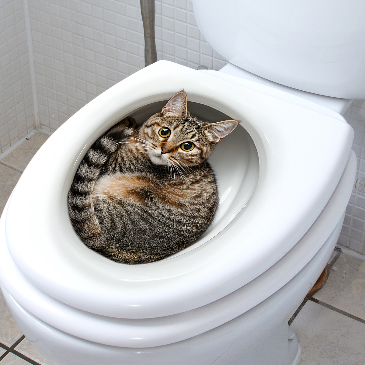 3D забавная наклейка на унитаз – обзор и цена Home Center Bathroom Accessories